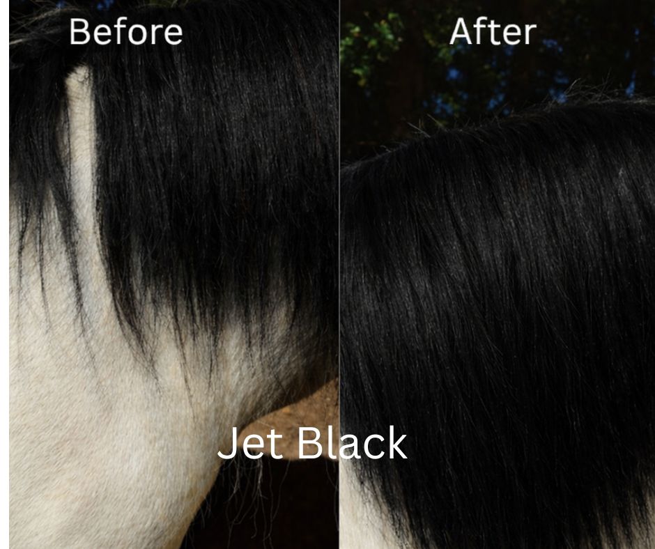 Extra Thick clip in mane extension 8 x 18 inches