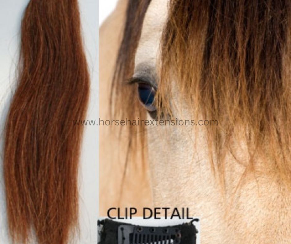 Horse hair false clip in forelock real horse hair
