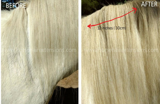 Clip In Horse Hair Mane Extension 12 inch (30cm) Length x 12 inch (30cm) Wide