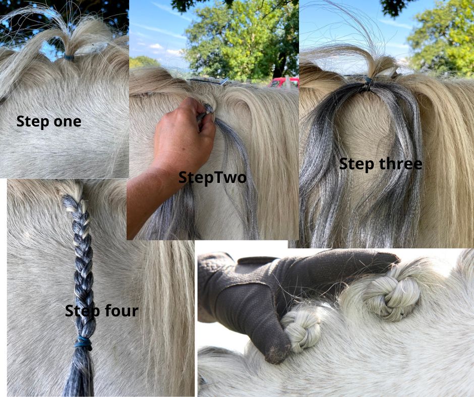 Plait Enhancers for horses 3 pk