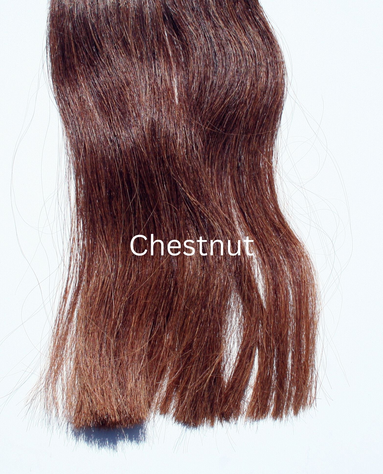 Chestnut colour mane hair extension for horses