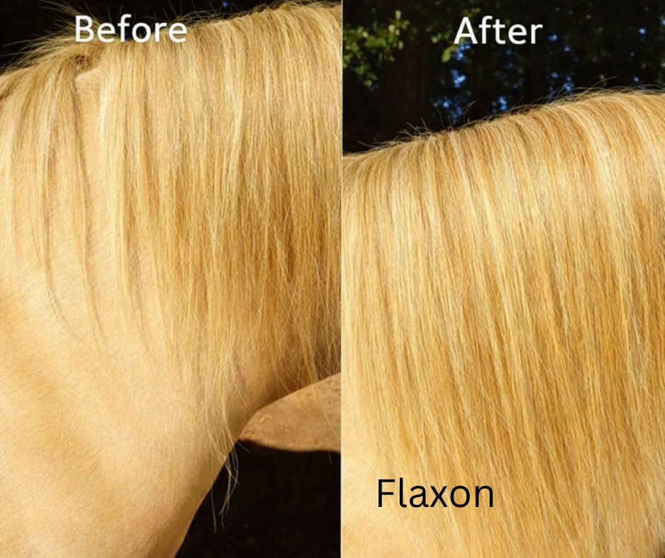 Extra thick clip in mane extension 4 x 18inches