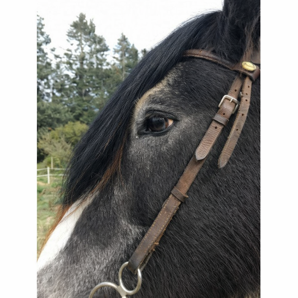 Headband Horse hair Forelock Extension