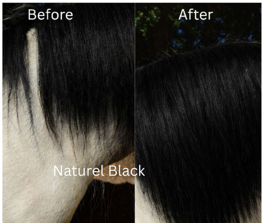 Extra Thick clip in mane extension 8 x 18 inches