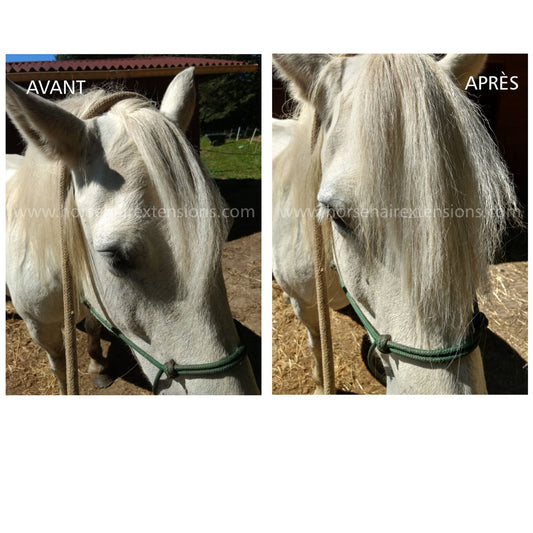 Horse hair false clip in forelock real horse hair