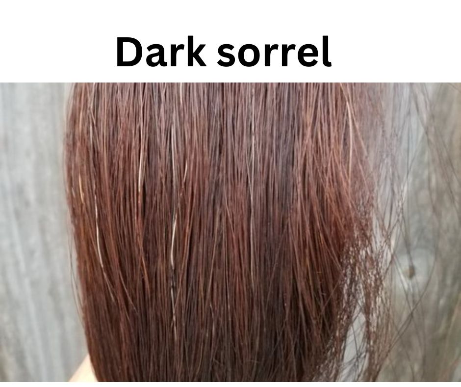 Clip in Mane Extension Fake Hair 23 inch (59cm) Length x 8 inch (20cm) Wide