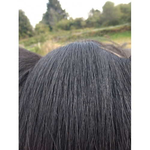 Headband Horse hair Forelock Extension