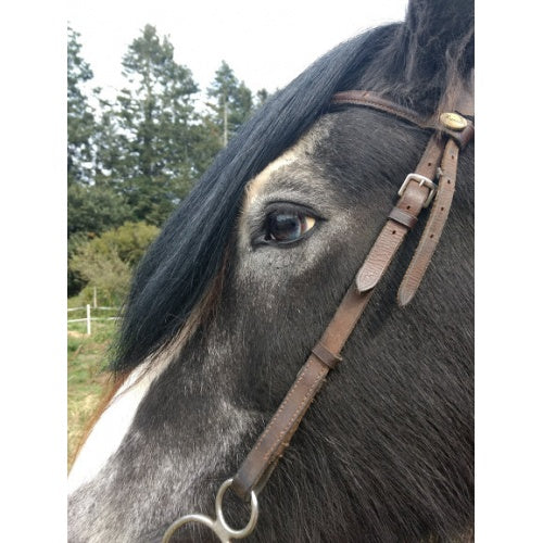 Headband Horse hair Forelock Extension