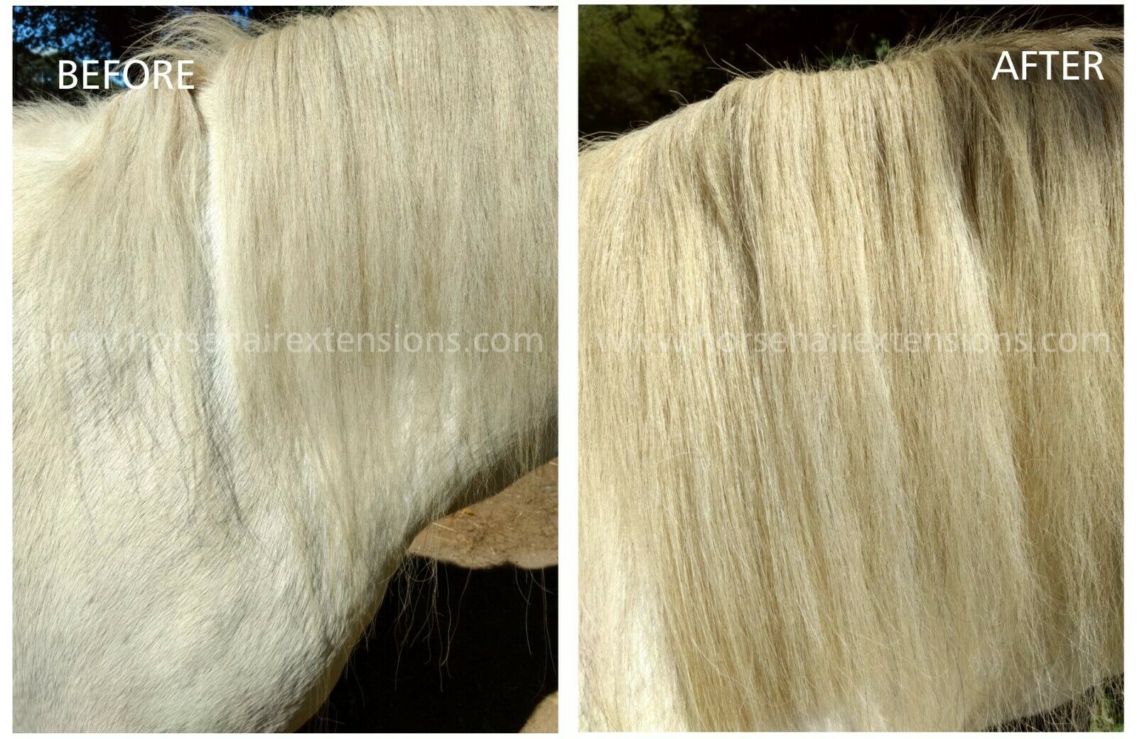 Before and after images of a horse hair mane extension, showing the mane appearing fuller and longer after using the product.