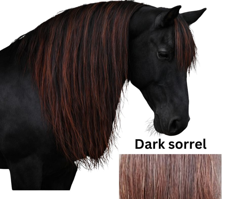 künstliche pferdemähne Haarverlängerung „Pferdemähne“ zum Einclipsen, 59 cm lang x 20 cm brei –  Horse Hair Extensions