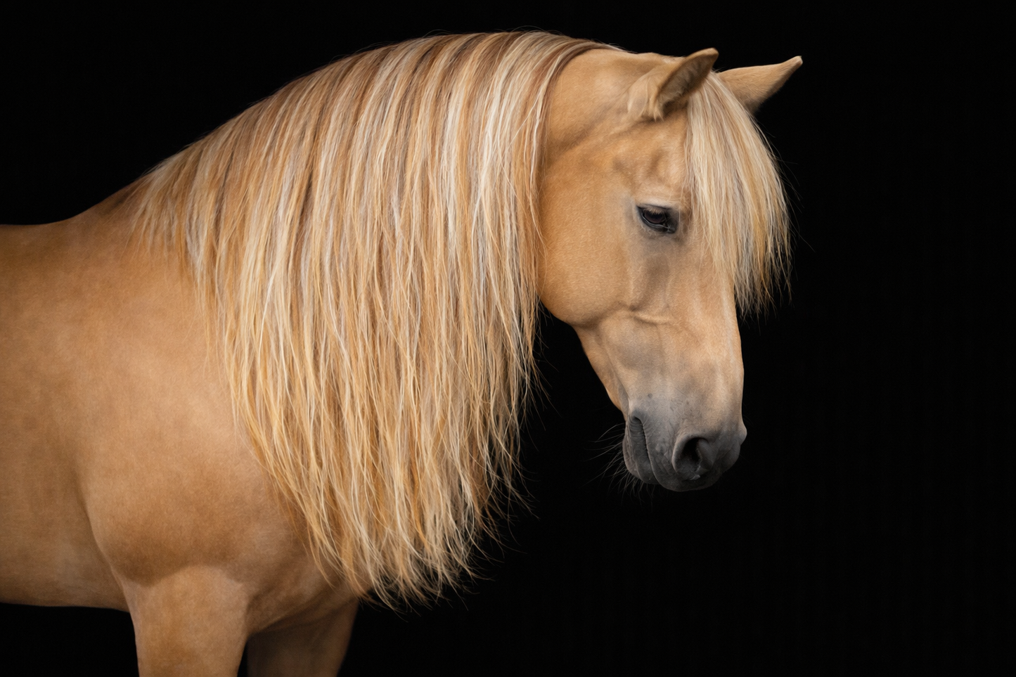 Clip in horse mane extension 16 inch long