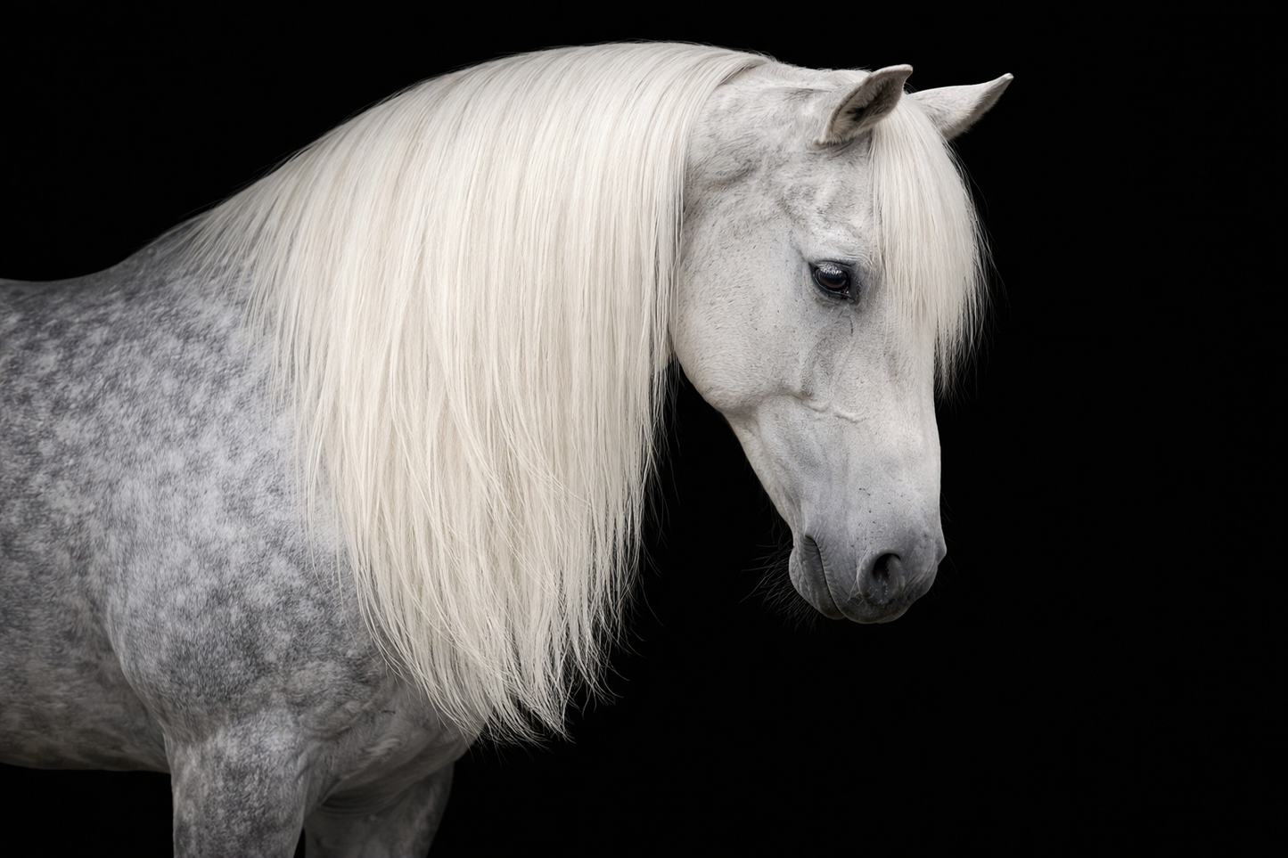 Clip in Horse’s Mane Extension Fake Hair 23 inch (59cm) Length x 8 inch (20cm) Wide