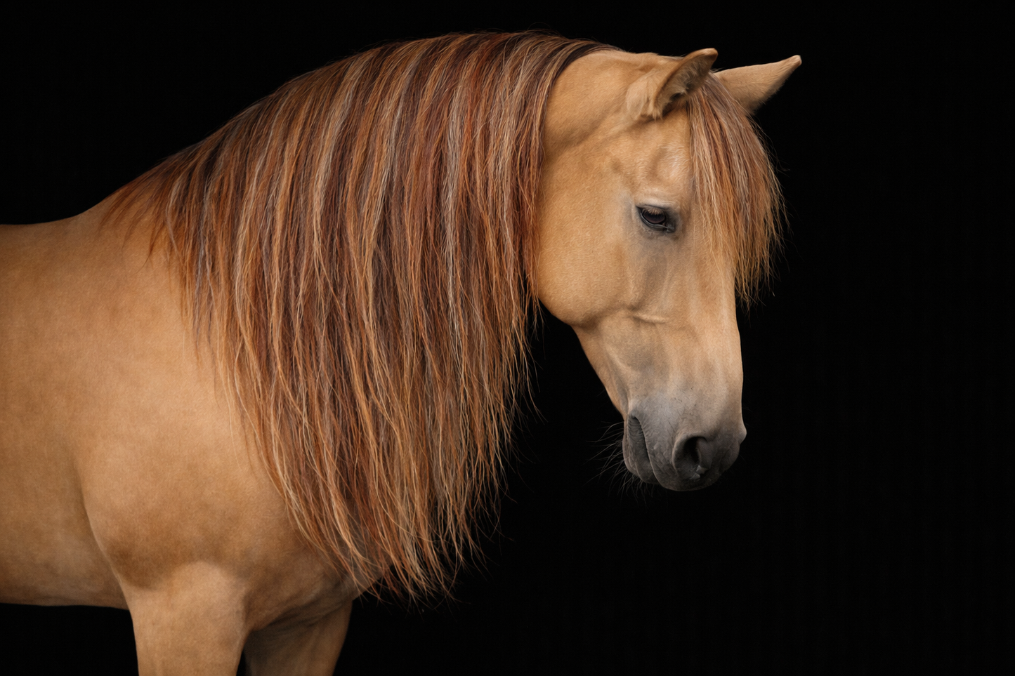 Clip in Horse’s Mane Extension Fake Hair 23 inch (59cm) Length x 8 inch (20cm) Wide