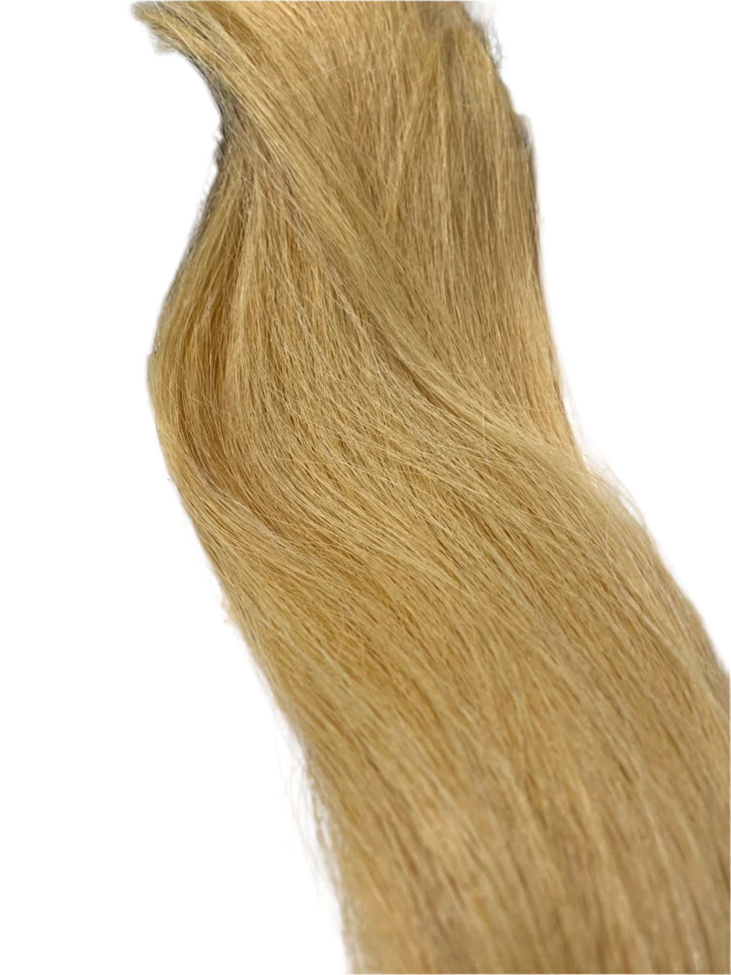 Headband Horse hair Forelock Extension
