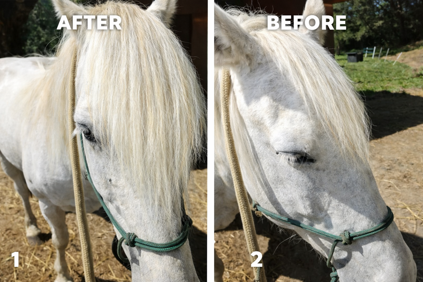 Horse hair false clip in forelock real horse hair