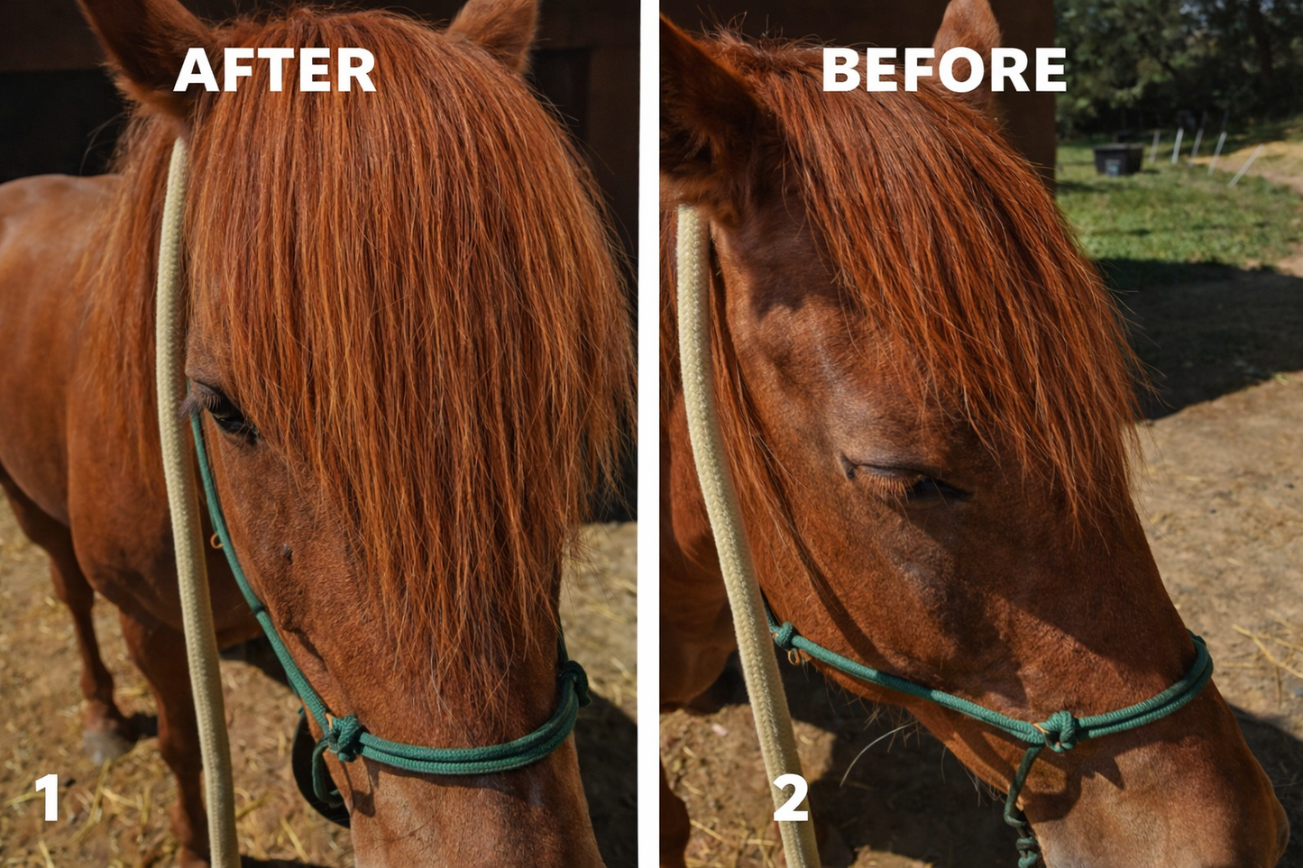 Horse hair false clip in forelock real horse hair