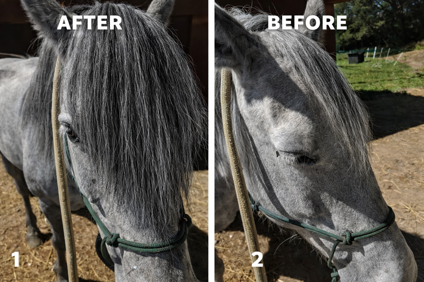 Horse hair false clip in forelock real horse hair