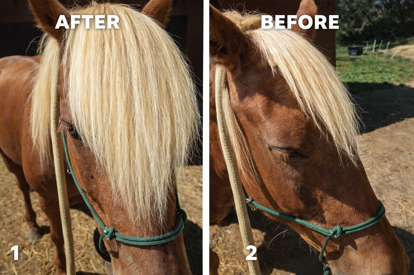 Horse hair false clip in forelock real horse hair
