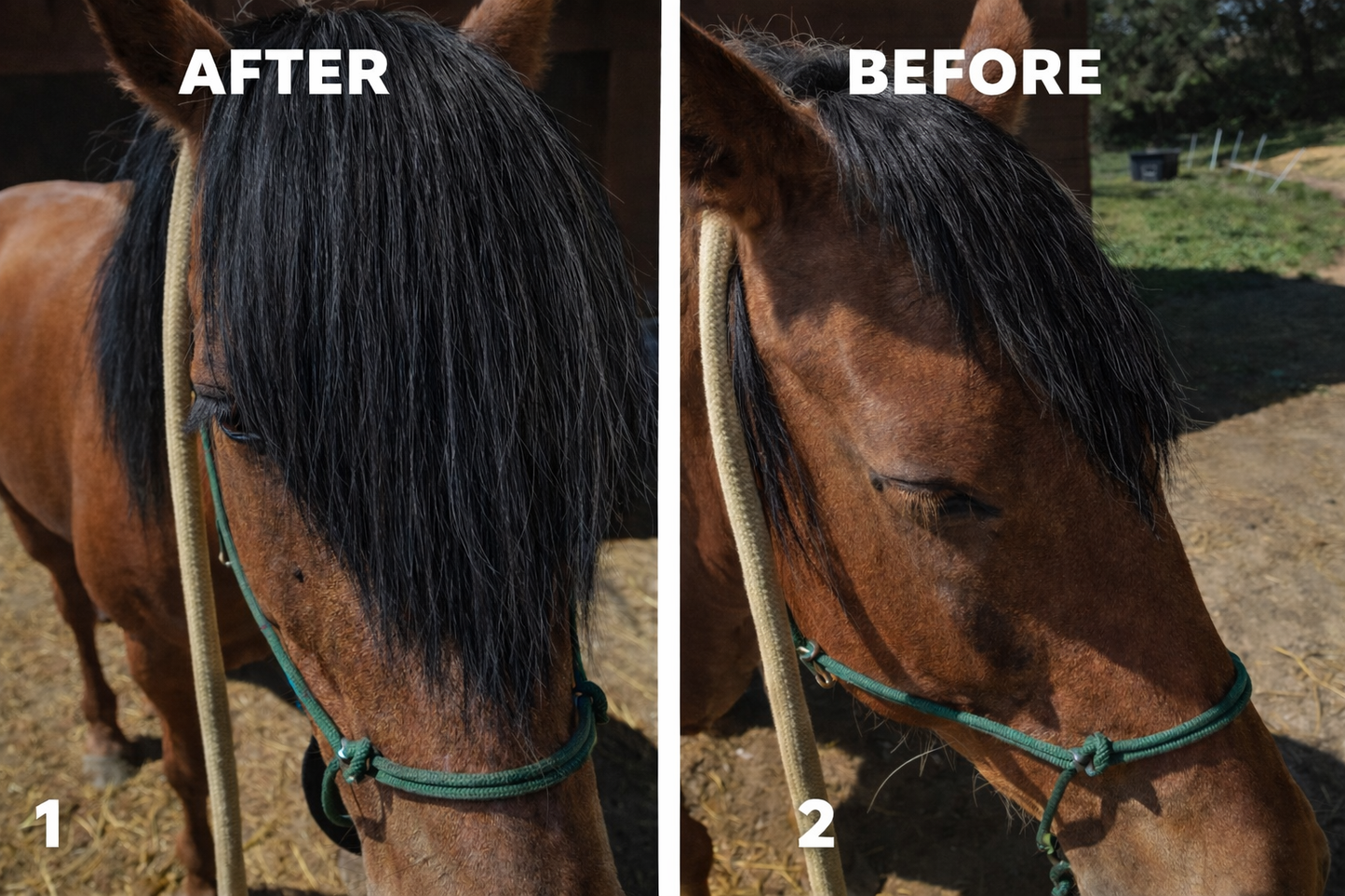 Horse hair false clip in forelock real horse hair