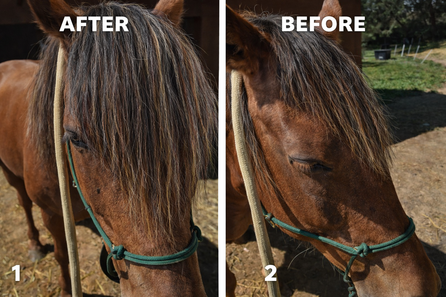 Horse hair false clip in forelock real horse hair