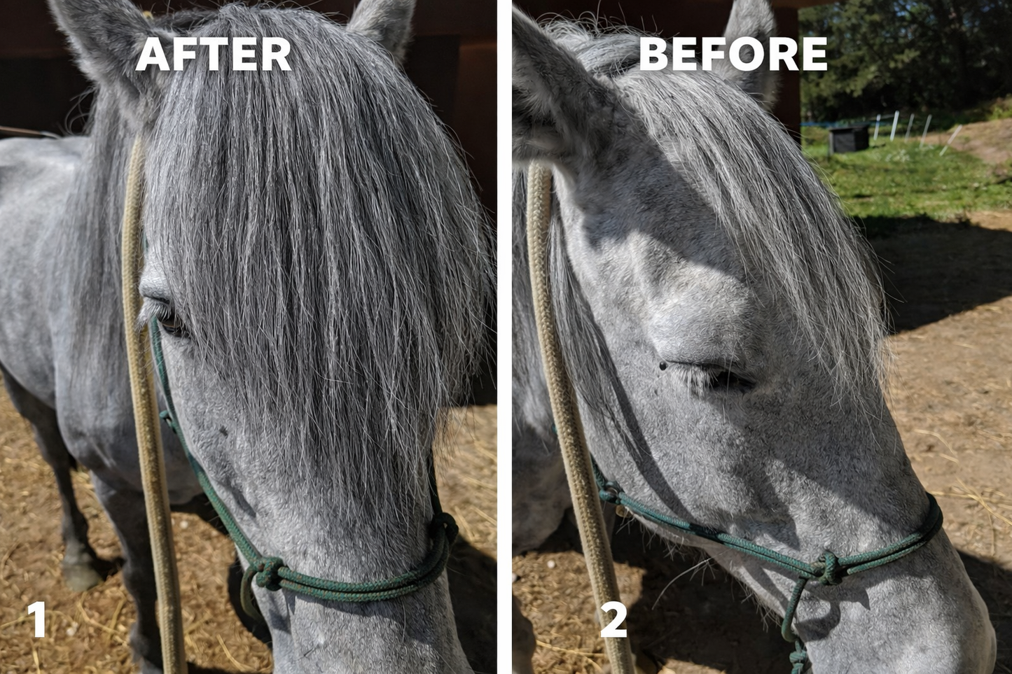 Horse hair false clip in forelock real horse hair