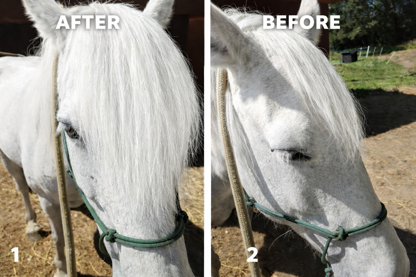 Horse hair false clip in forelock real horse hair