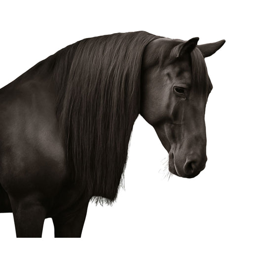 Clip in Horse’s Mane Extension Fake Hair 23 inch (59cm) Length x 8 inch (20cm) Wide