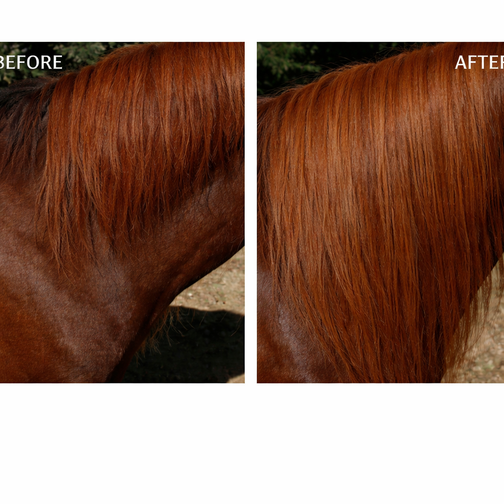 Clip In Horse Hair Mane Extension 24 inch (61cm) Length x 8 inch (20cm) Wide