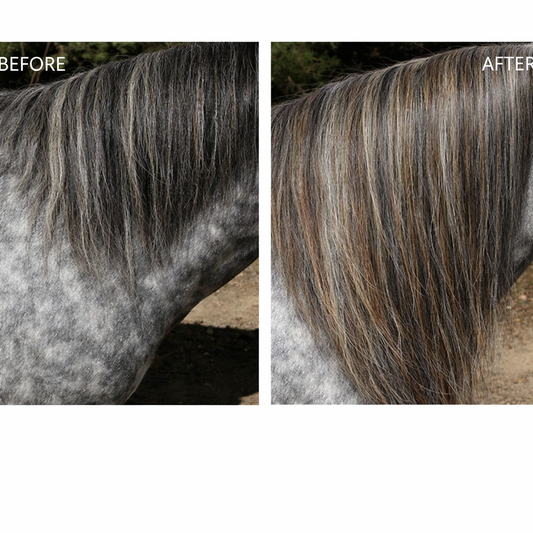 Clip In Horse Hair Mane Extension 24 inch (61cm) Length x 8 inch (20cm) Wide