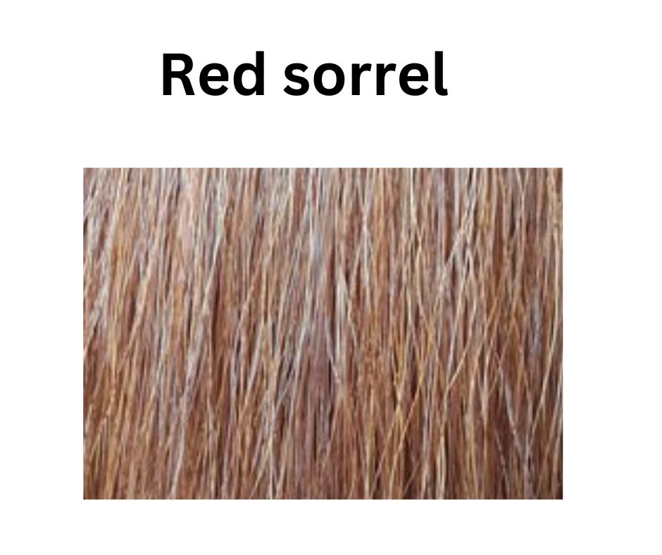 Sorrel custom blended fake mane extension, clip in easy to attach. DIY fix your horses mane with a clip in 